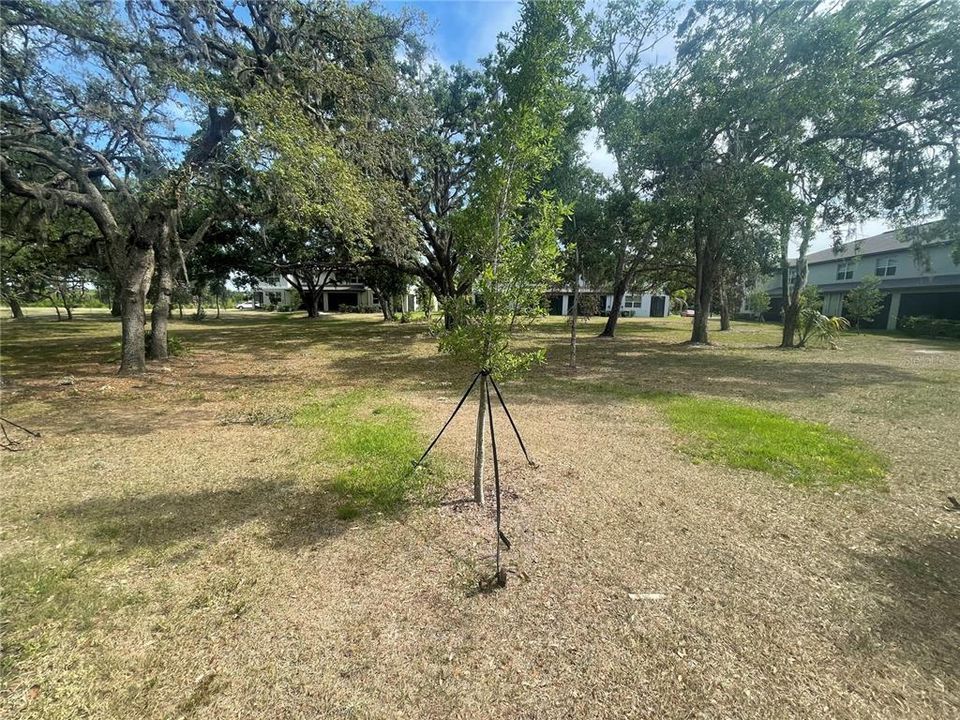 En Renta: $2,000 (3 camas, 2 baños, 1666 Pies cuadrados)