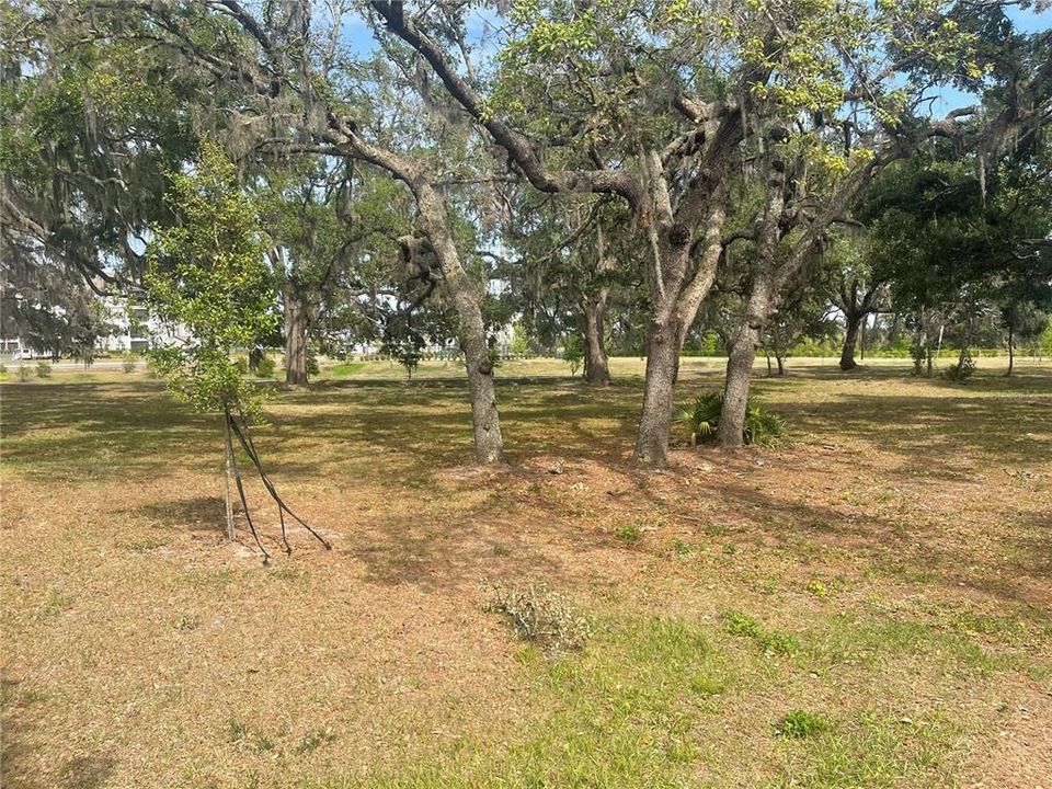 En Renta: $2,000 (3 camas, 2 baños, 1666 Pies cuadrados)