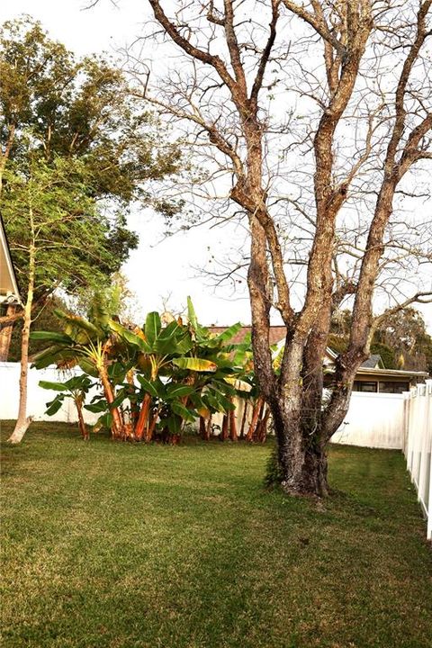 На продажу: $390,000 (3 спален, 2 ванн, 1422 Квадратных фут)