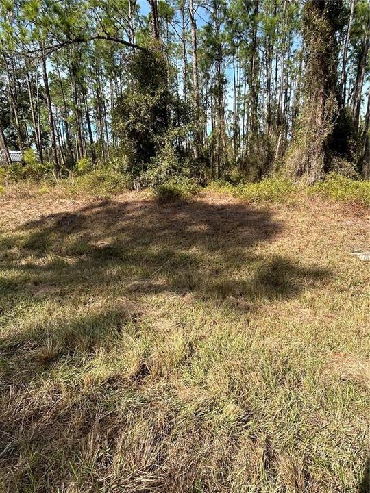 For Sale: $79,900 (1.17 acres)