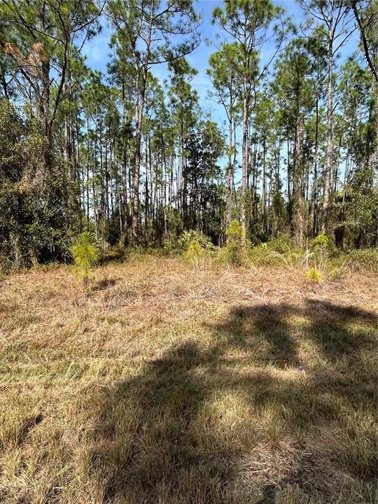 For Sale: $79,900 (1.17 acres)