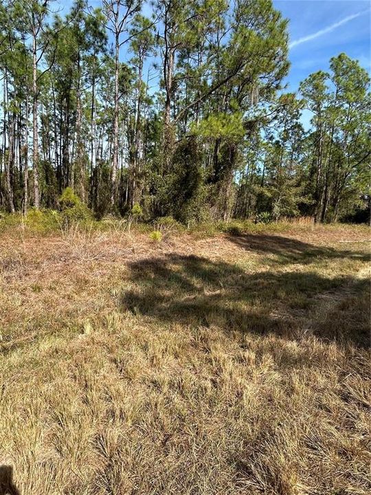 For Sale: $79,900 (1.17 acres)