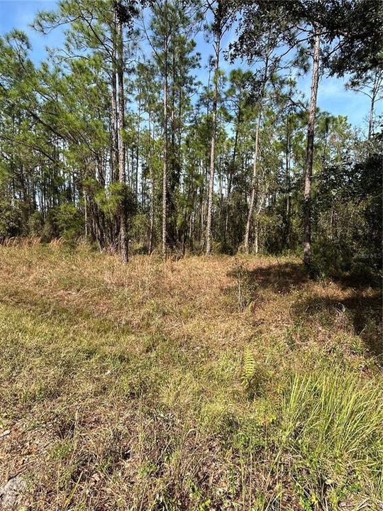 For Sale: $79,900 (1.17 acres)