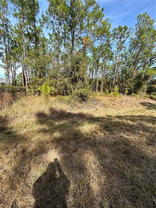 For Sale: $79,900 (1.17 acres)