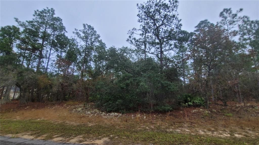 待售: $99,500 (1.43 acres)