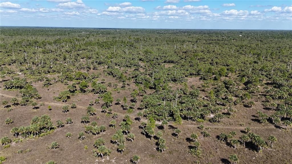 For Sale: $650,000 (40.00 acres)