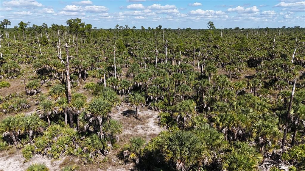 For Sale: $650,000 (40.00 acres)