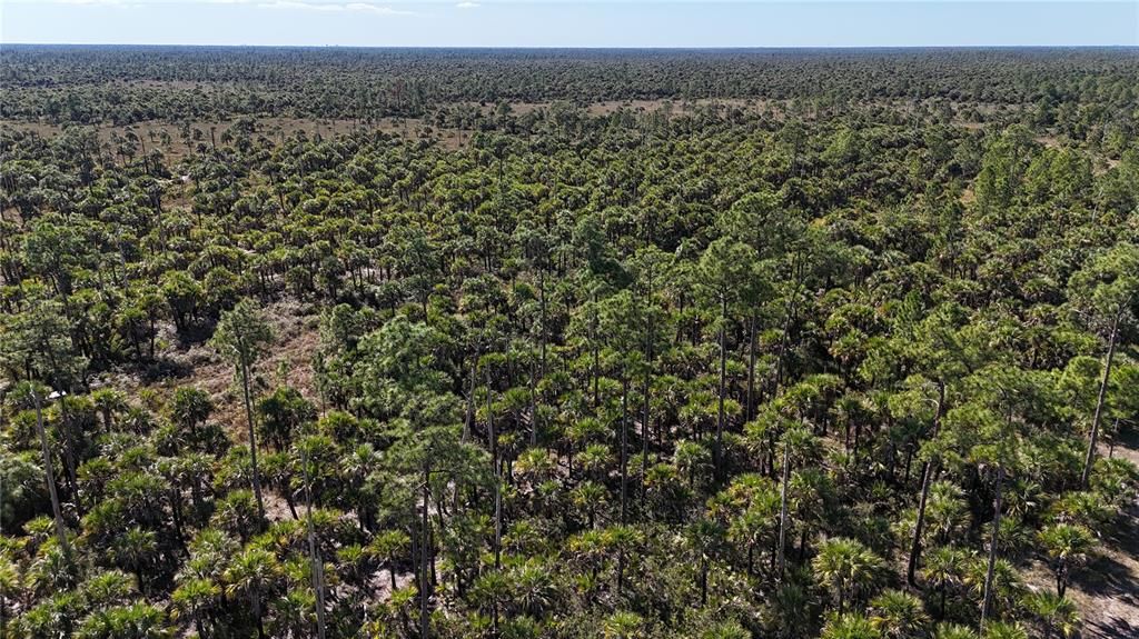 For Sale: $650,000 (40.00 acres)