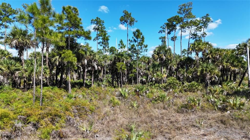 For Sale: $650,000 (40.00 acres)