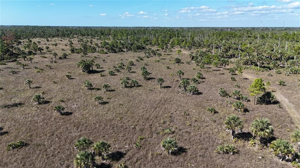 For Sale: $650,000 (40.00 acres)