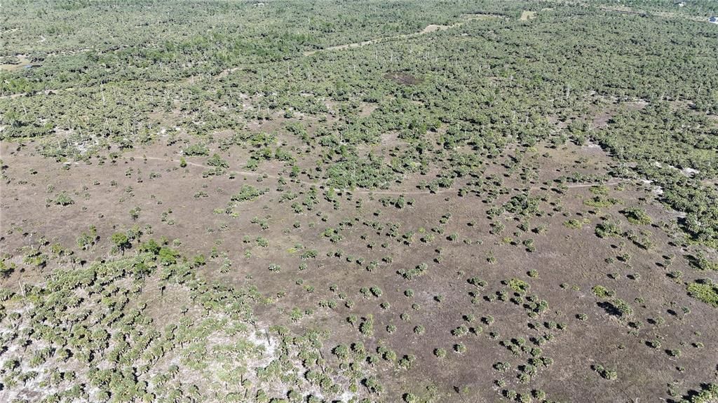 For Sale: $650,000 (40.00 acres)