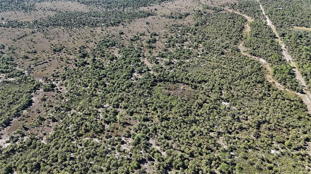 For Sale: $650,000 (40.00 acres)