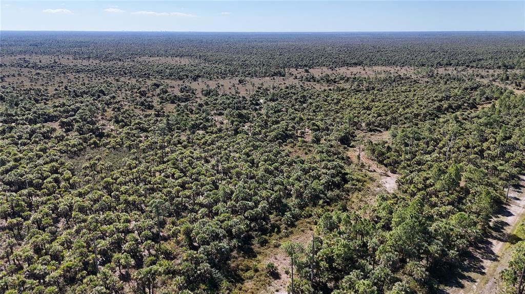 For Sale: $650,000 (40.00 acres)