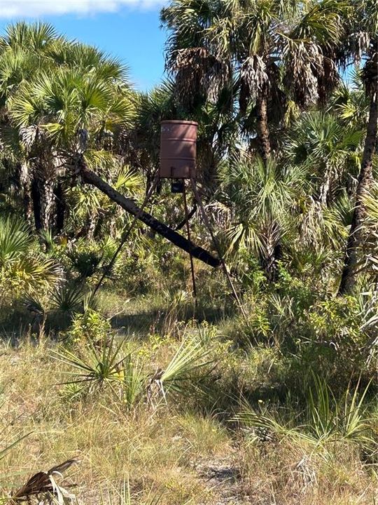 For Sale: $650,000 (40.00 acres)