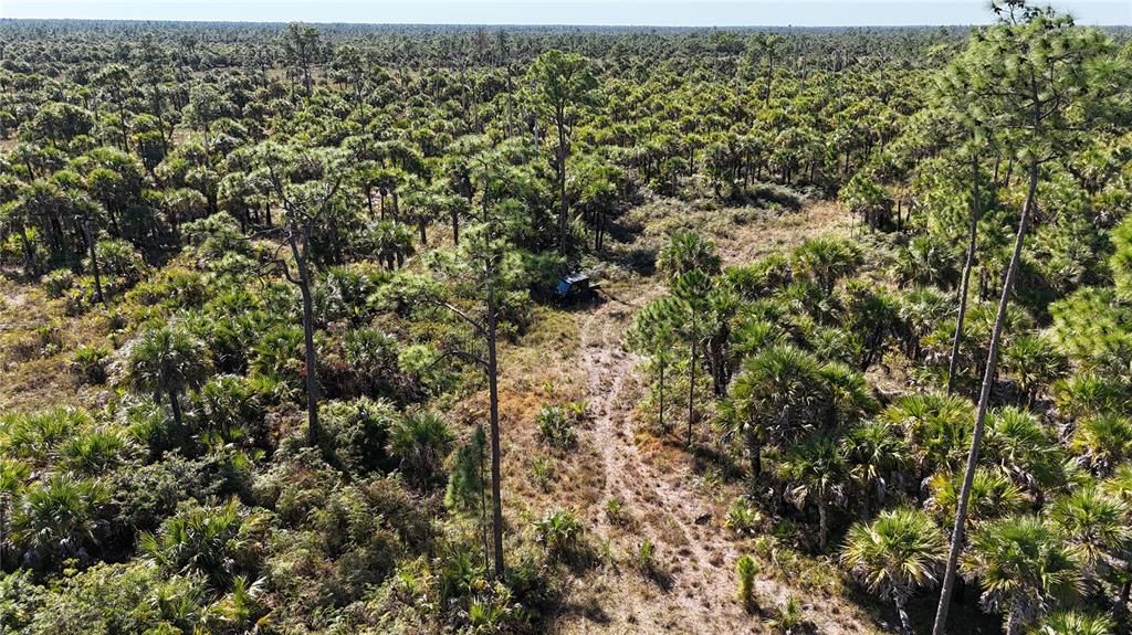 For Sale: $650,000 (40.00 acres)