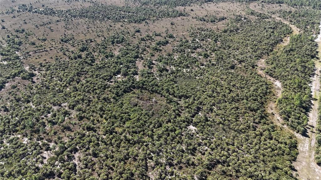 For Sale: $650,000 (40.00 acres)