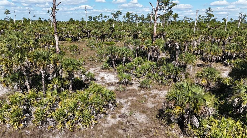 For Sale: $650,000 (40.00 acres)