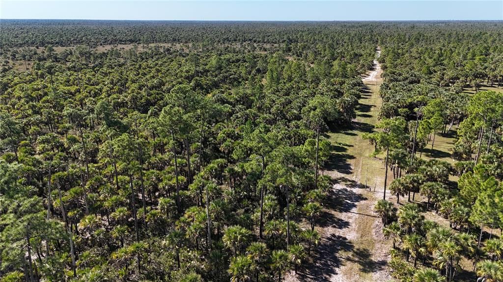 For Sale: $650,000 (40.00 acres)