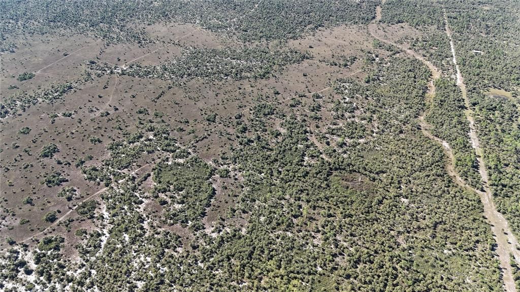 For Sale: $650,000 (40.00 acres)