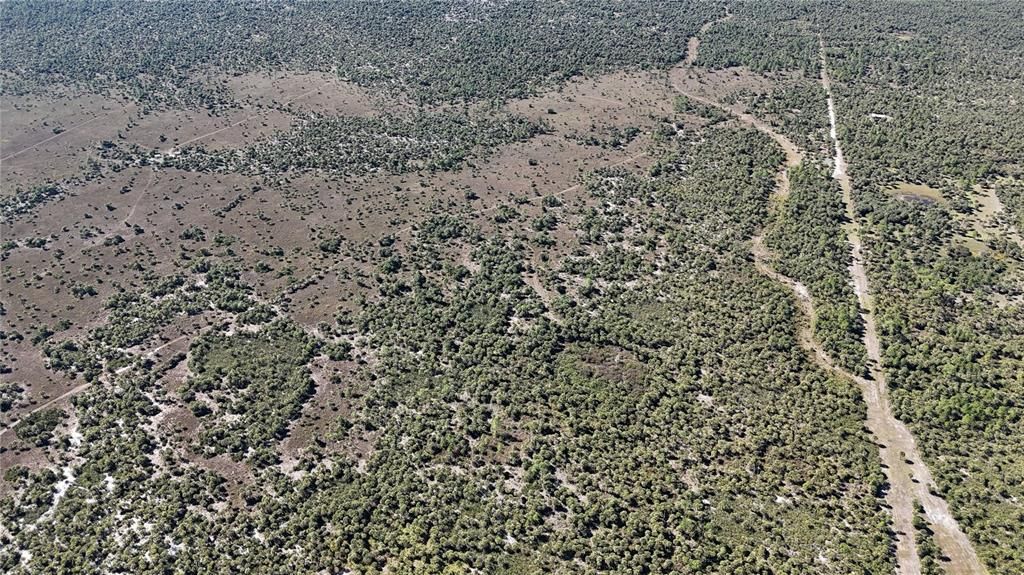 For Sale: $650,000 (40.00 acres)