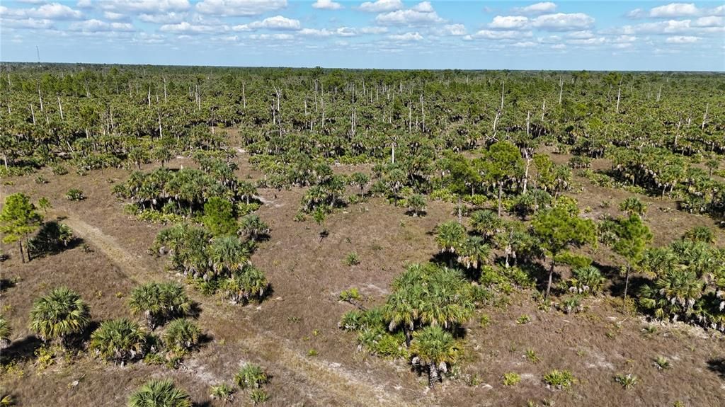 For Sale: $650,000 (40.00 acres)