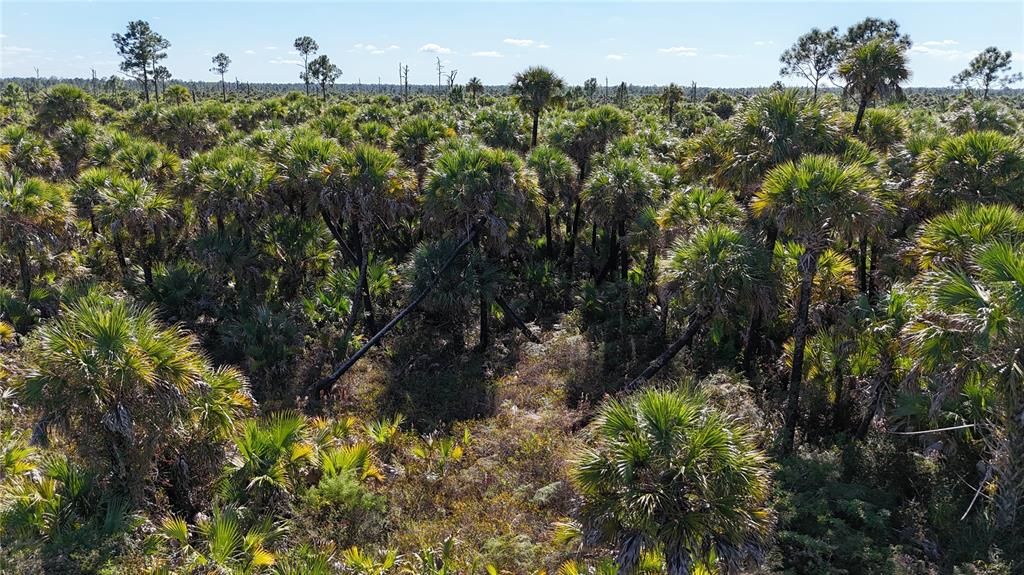 For Sale: $650,000 (40.00 acres)