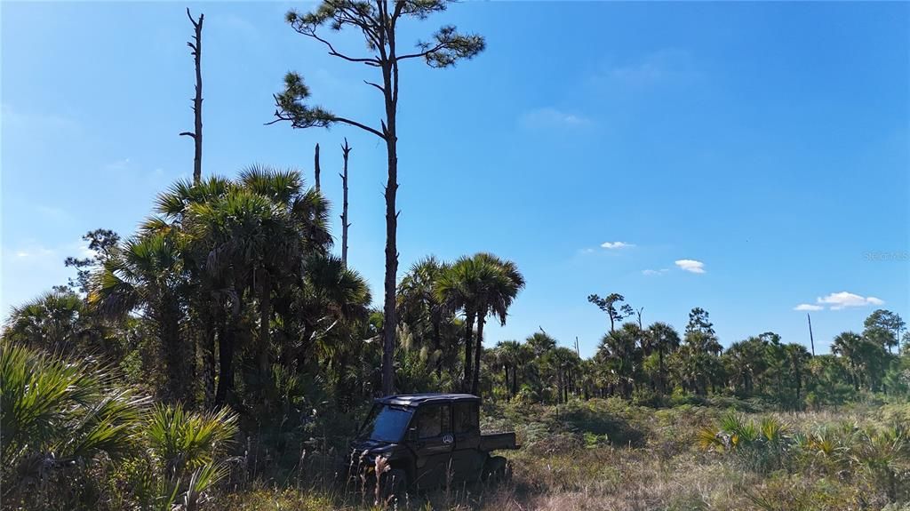 For Sale: $650,000 (40.00 acres)