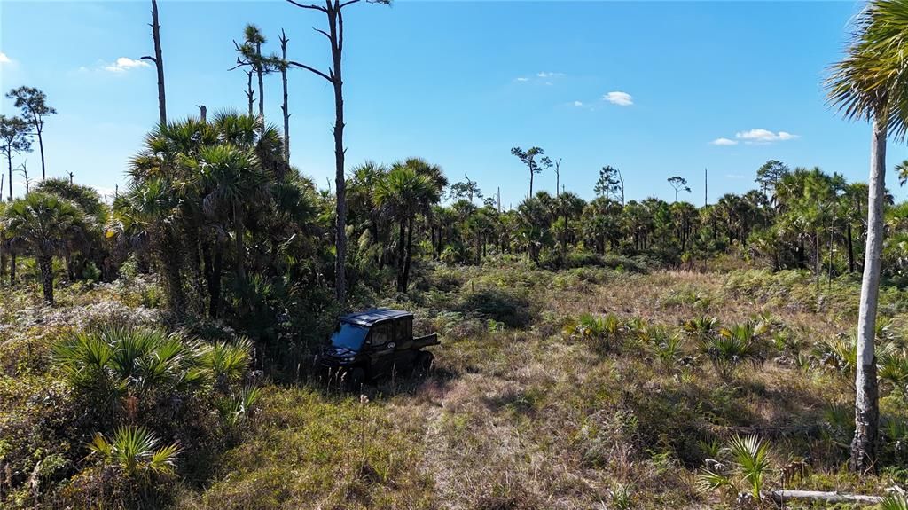 For Sale: $650,000 (40.00 acres)