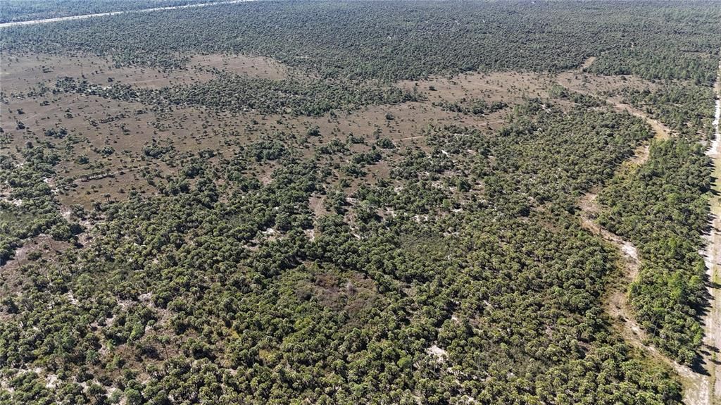 For Sale: $650,000 (40.00 acres)