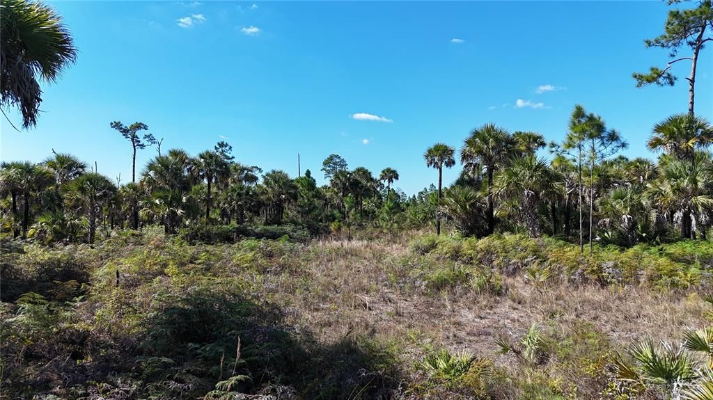 For Sale: $650,000 (40.00 acres)