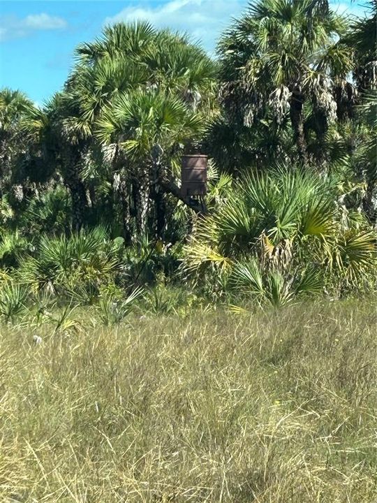 For Sale: $650,000 (40.00 acres)