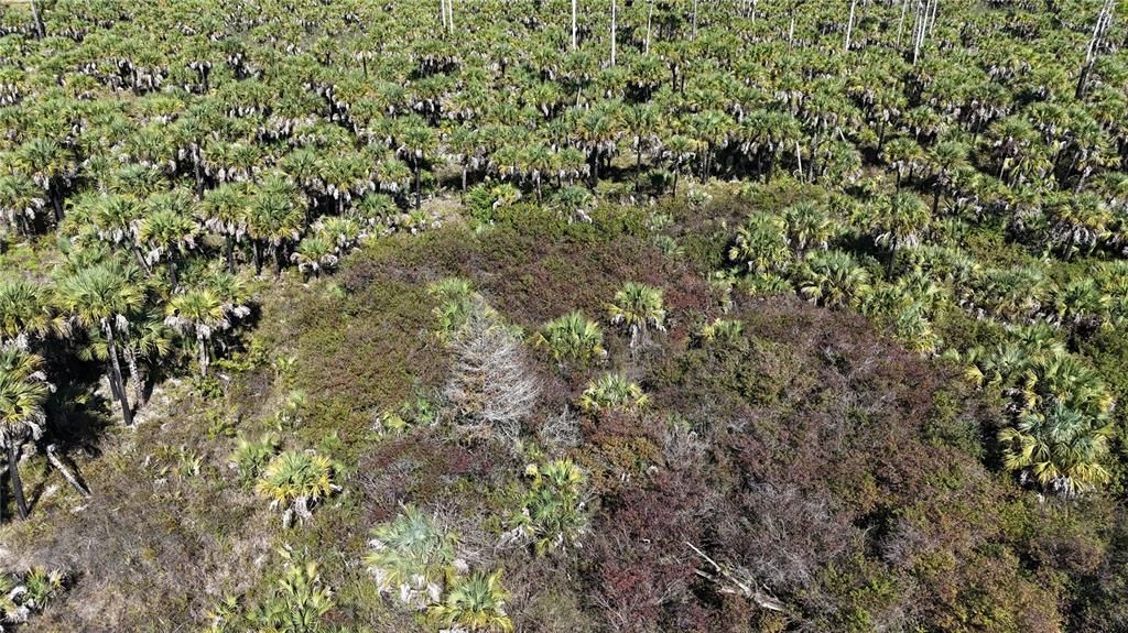 For Sale: $650,000 (40.00 acres)