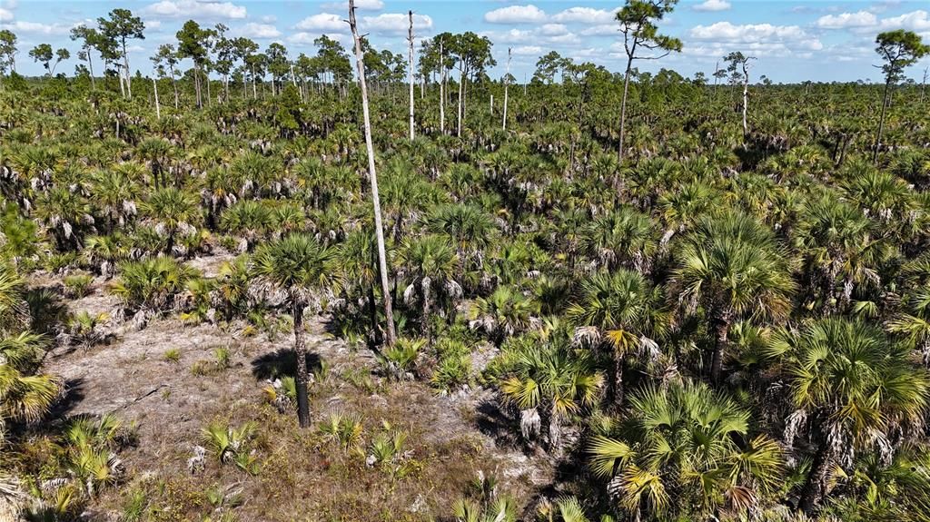 For Sale: $650,000 (40.00 acres)