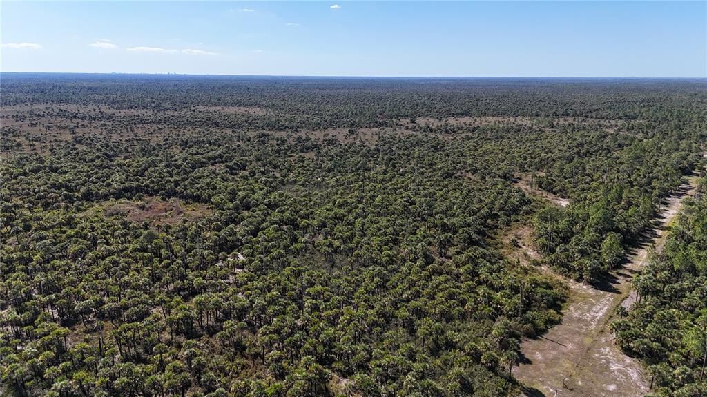 For Sale: $650,000 (40.00 acres)