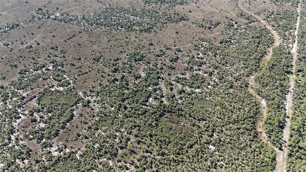 For Sale: $650,000 (40.00 acres)