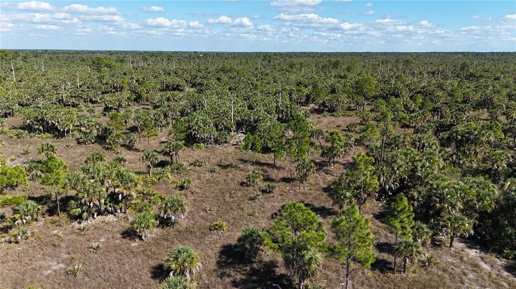 For Sale: $650,000 (40.00 acres)