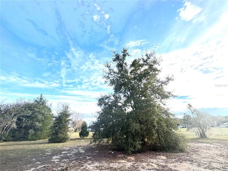 待售: $42,000 (1.01 acres)