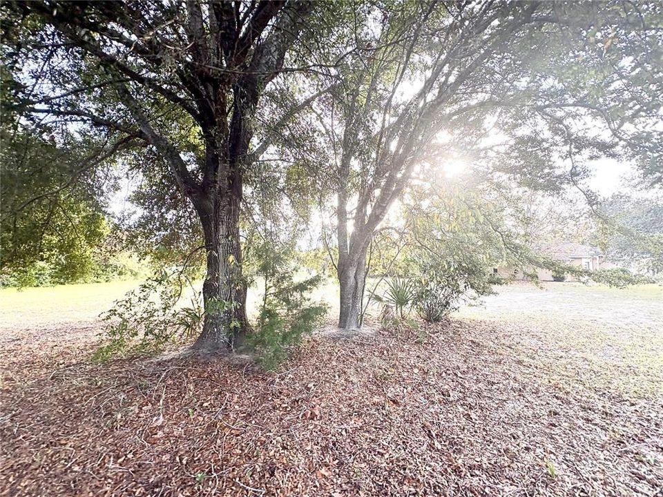 待售: $42,000 (1.01 acres)