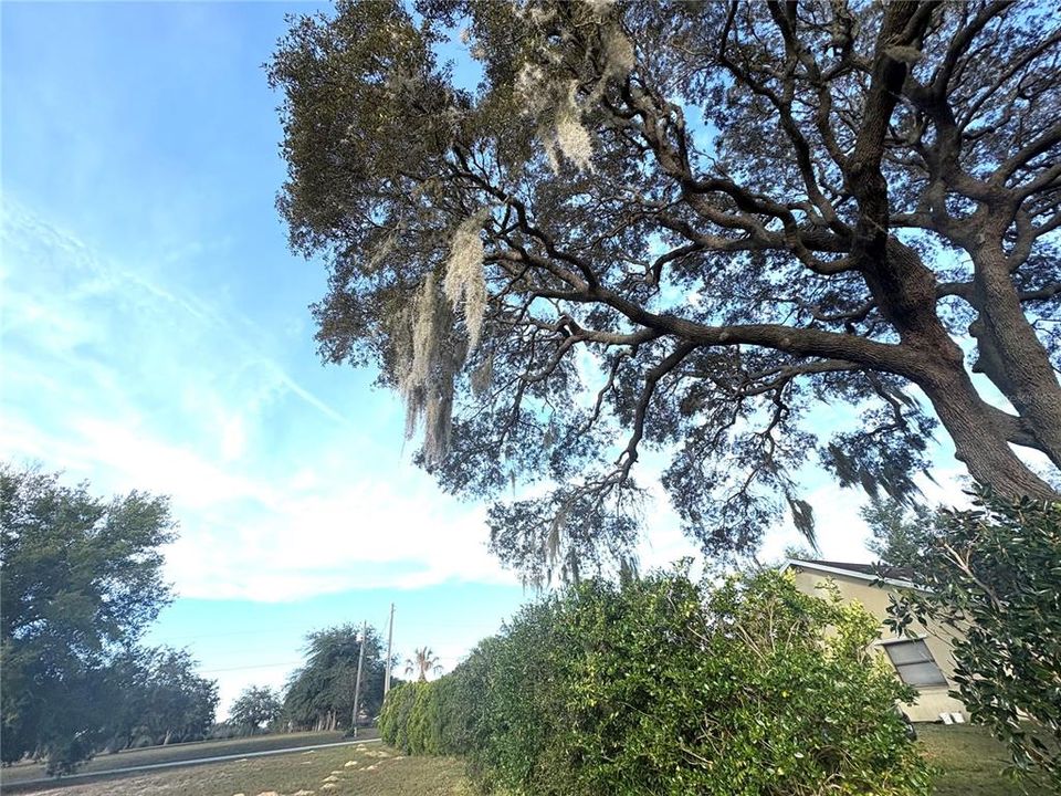 待售: $42,000 (1.01 acres)