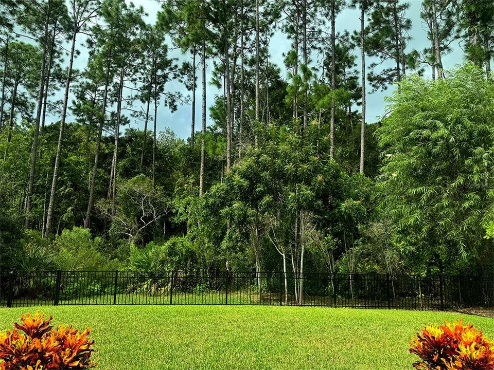 待售: $380,000 (4 贝兹, 2 浴室, 1862 平方英尺)