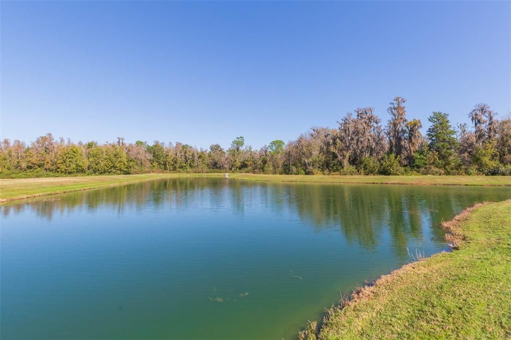 For Sale: $749,000 (5 beds, 4 baths, 3566 Square Feet)