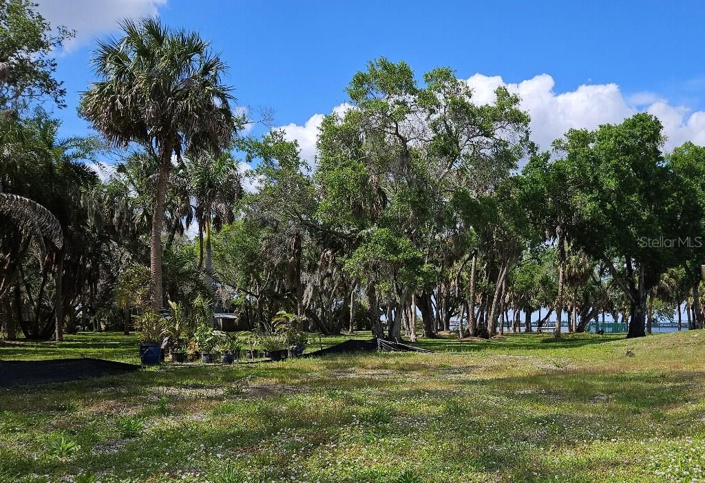 En Venta: $265,000 (0.28 acres)