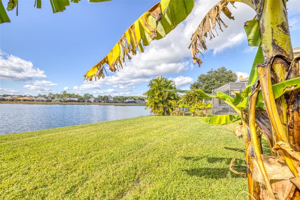 En Venta: $374,900 (3 camas, 2 baños, 1212 Pies cuadrados)