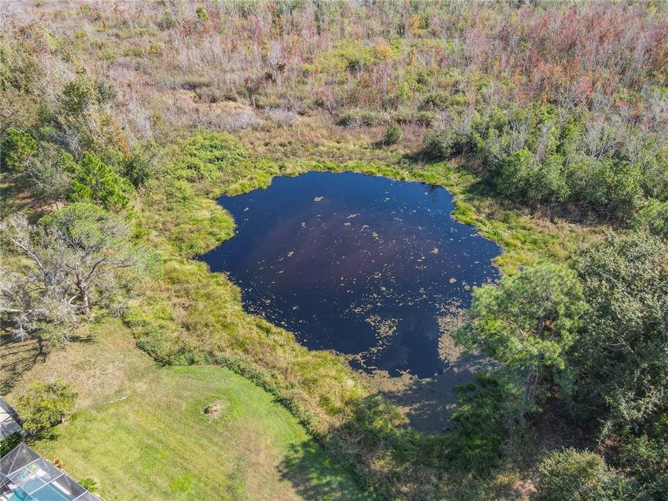 На продажу: $434,999 (4 спален, 2 ванн, 1701 Квадратных фут)