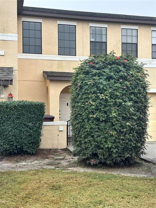 For Sale: $259,900 (2 beds, 2 baths, 1373 Square Feet)