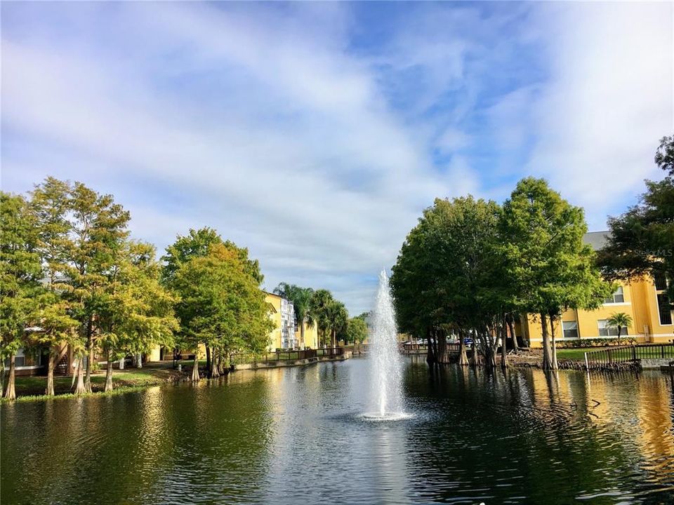 В аренду: $1,150 (1 спален, 1 ванн, 735 Квадратных фут)