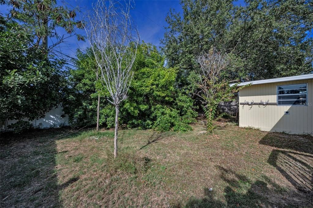 En Venta: $399,000 (3 camas, 2 baños, 1216 Pies cuadrados)