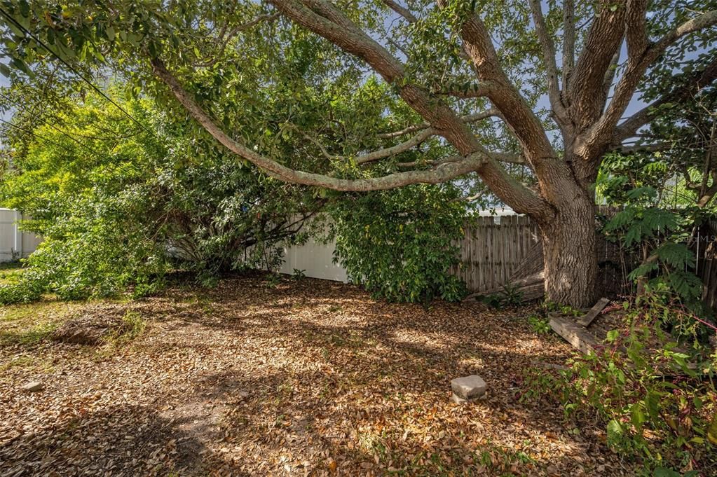 En Venta: $399,000 (3 camas, 2 baños, 1216 Pies cuadrados)