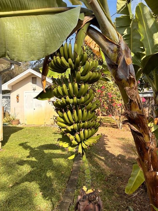 待售: $399,900 (2 贝兹, 1 浴室, 1336 平方英尺)