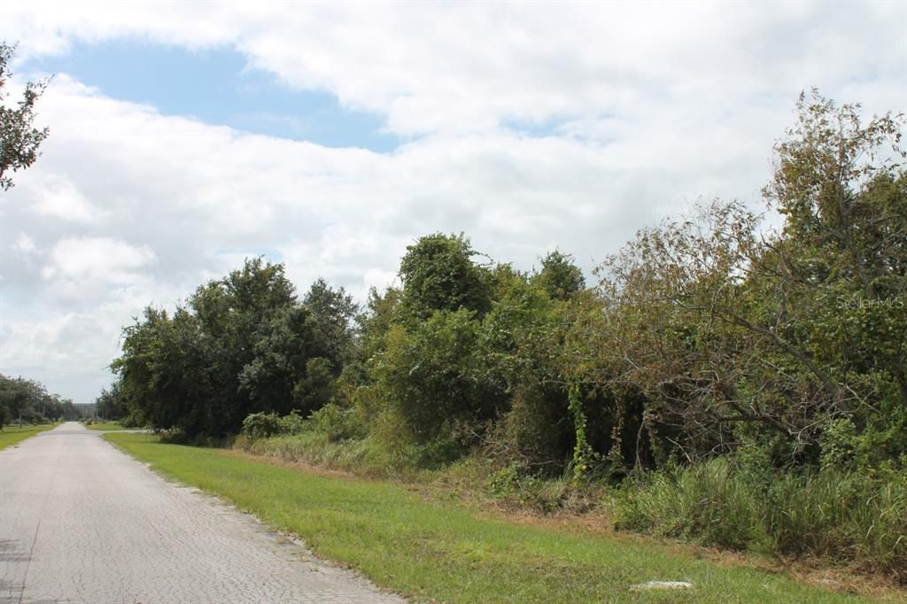 For Sale: $309,900 (5.00 acres)